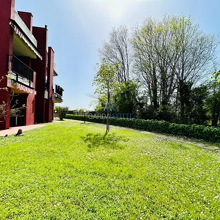 Terrace View