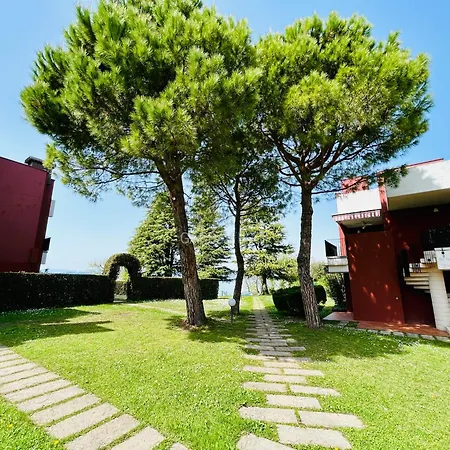 Terrace View